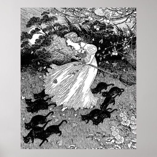 De jonge heks poster (Voorkant)