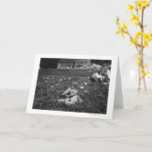 De jonge het Plukken van het Meisje Foto van Kaart (Gele Bloem)
