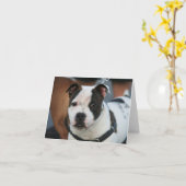 De jonge Staffordshire Bull terrier Kaart van de (Gele Bloem)