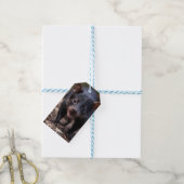 De jonge Tasmaanse duivel Cadeaulabel (Met Touw)