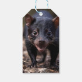 De jonge Tasmaanse duivel Cadeaulabel (Achterkant)