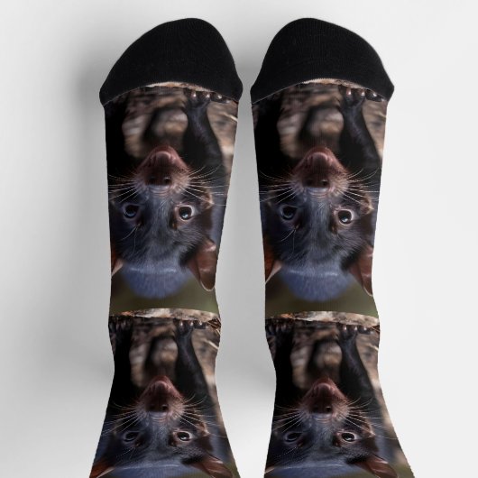De jonge Tasmaanse duivel Sokken (Top)