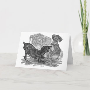 De Jongen die van Pinscher van Doberman door Kelli Kaart