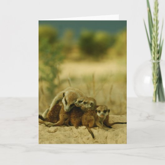 De jongen van bakkebaarden - KMP Kaart 19 (Voorkant)