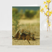 De jongen van bakkebaarden - KMP Kaart 19 (Gele Bloem)