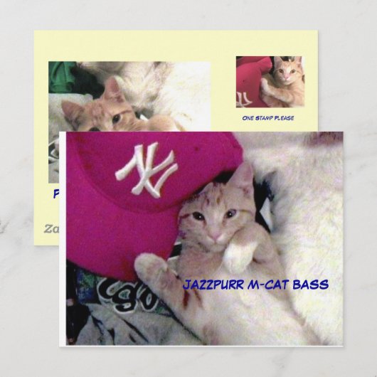 De Jongen van het poster voor Liefde Jazzpurr Briefkaart (Voorkant / Achterkant)