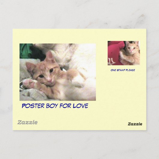 De Jongen van het poster voor Liefde Jazzpurr Briefkaart (Achterkant)