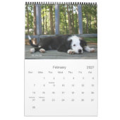 De jongens kalender (Feb 2027)