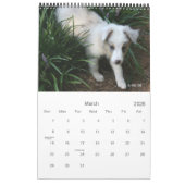 De jongens kalender (Mar 2026)