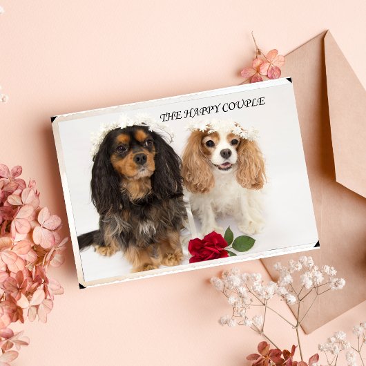 De Jonggehuwden Cavalier King Charles Spaniel Kaart