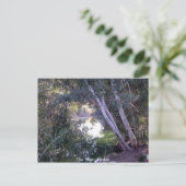 De Jordaan Briefkaart (Staand voorkant)