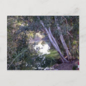 De Jordaan Briefkaart (Voorkant)