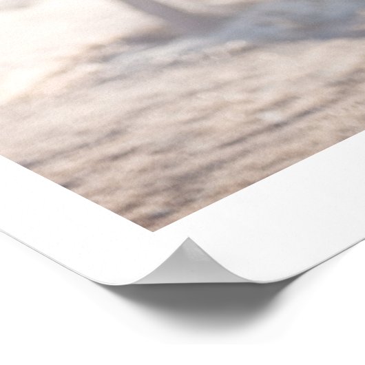 De Joshua-structuur Poster (Hoek)