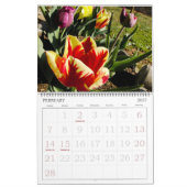 De Joy of Color Flower Photography Kalender (Feb 2027)