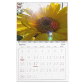 De Joy of Color Flower Photography Kalender (Mar 2026)