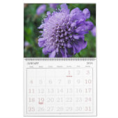De Joy of Color Flower Photography Kalender (Jan 2026)