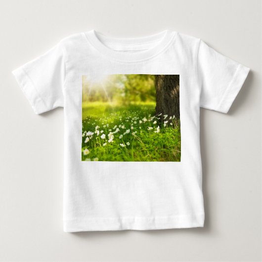 De Joys of Spring (Voorkant)