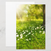 De Joys of Spring Briefpapier (Voorkant / Achterkant)