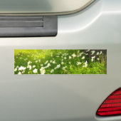 De Joys of Spring Bumpersticker (Op auto)