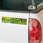 De Joys of Spring Bumpersticker (Op Truck)