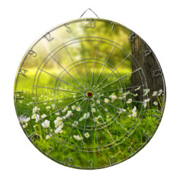 De Joys of Spring Dartbord
