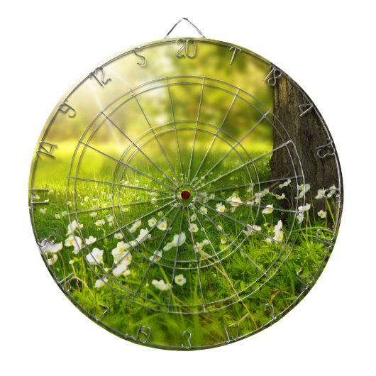 De Joys of Spring Dartbord (Voorkant)
