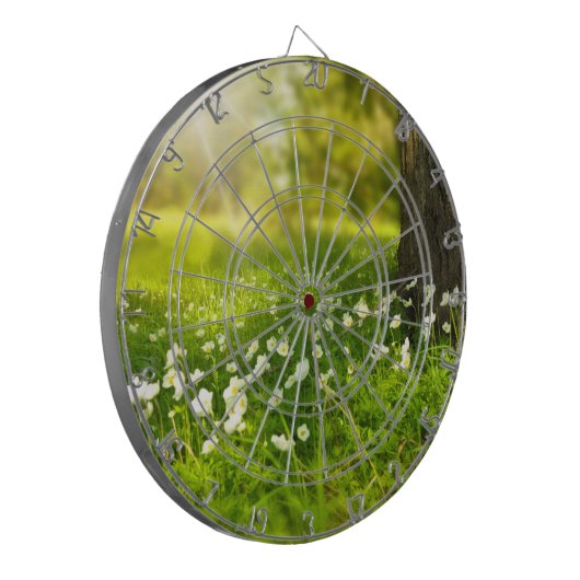 De Joys of Spring Dartbord (Voorkant Links)