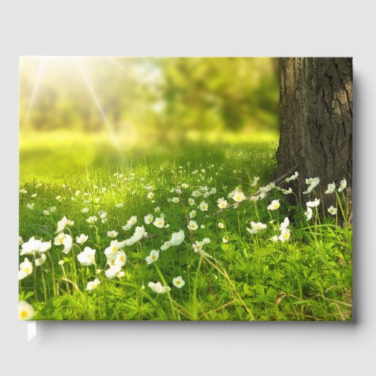 De Joys of Spring Gastenboek (Voorkant)