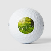 De Joys of Spring Golfballen (Voorkant)