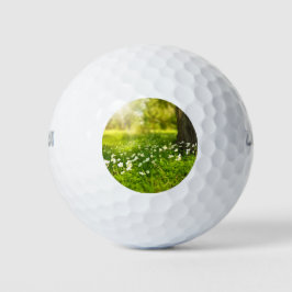 De Joys of Spring Golfballen