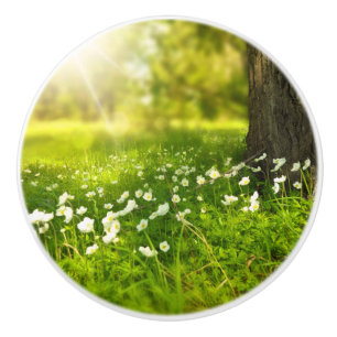 De Joys of Spring Keramische Knop