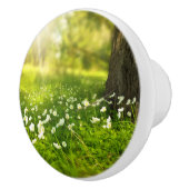 De Joys of Spring Keramische Knop (Rechts)