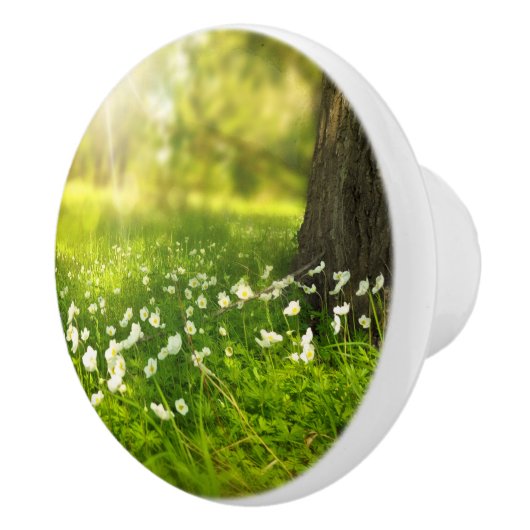 De Joys of Spring Keramische Knop (Rechts)