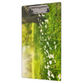 De Joys of Spring Klembord (Links)