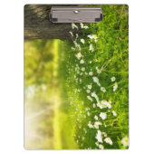 De Joys of Spring Klembord (Voorkant)