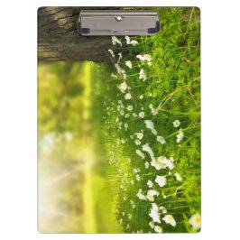 De Joys of Spring Klembord