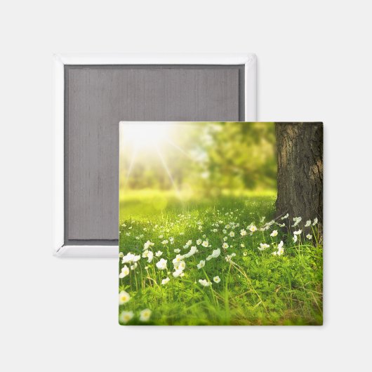 De Joys of Spring Magneet (Voorkant / Achterkant)