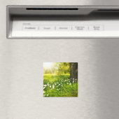 De Joys of Spring Magneet (Insitu (Vaatwasser))