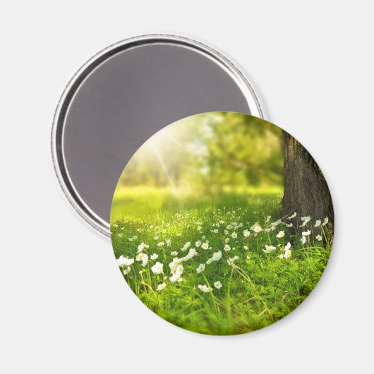 De Joys of Spring Magneet (Voorkant / Achterkant)