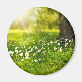 De Joys of Spring Magneet