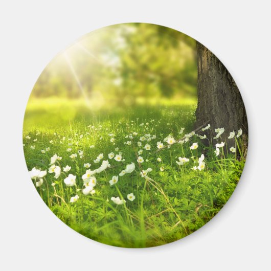 De Joys of Spring Magneet (Voorkant)