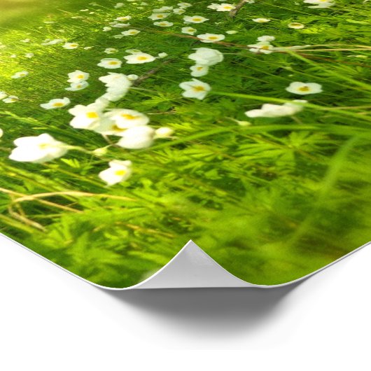 De Joys of Spring Poster (Hoek)