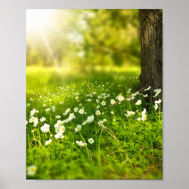 De Joys of Spring Poster