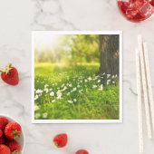 De Joys of Spring Servet (Insitu)