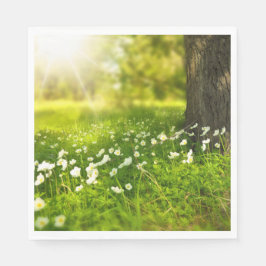 De Joys of Spring Servet