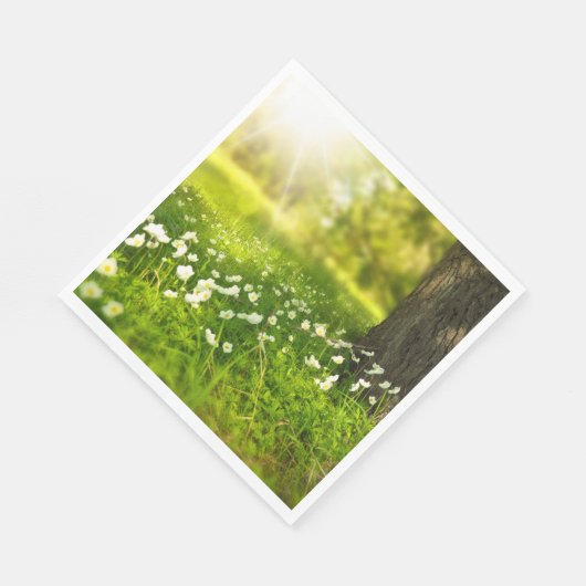 De Joys of Spring Servet (Hoek)