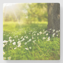 De Joys of Spring Stenen Onderzetter