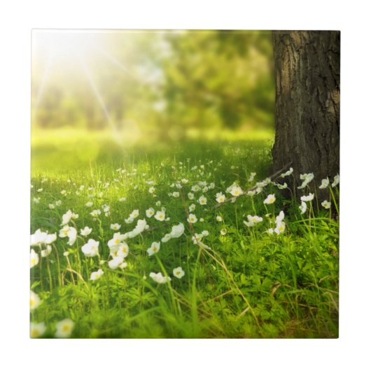 De Joys of Spring Tegeltje (Voorkant)