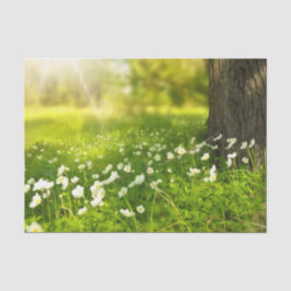 De Joys of Spring Tissuepapier