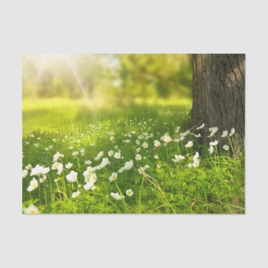 De Joys of Spring Tissuepapier (Voorkant)